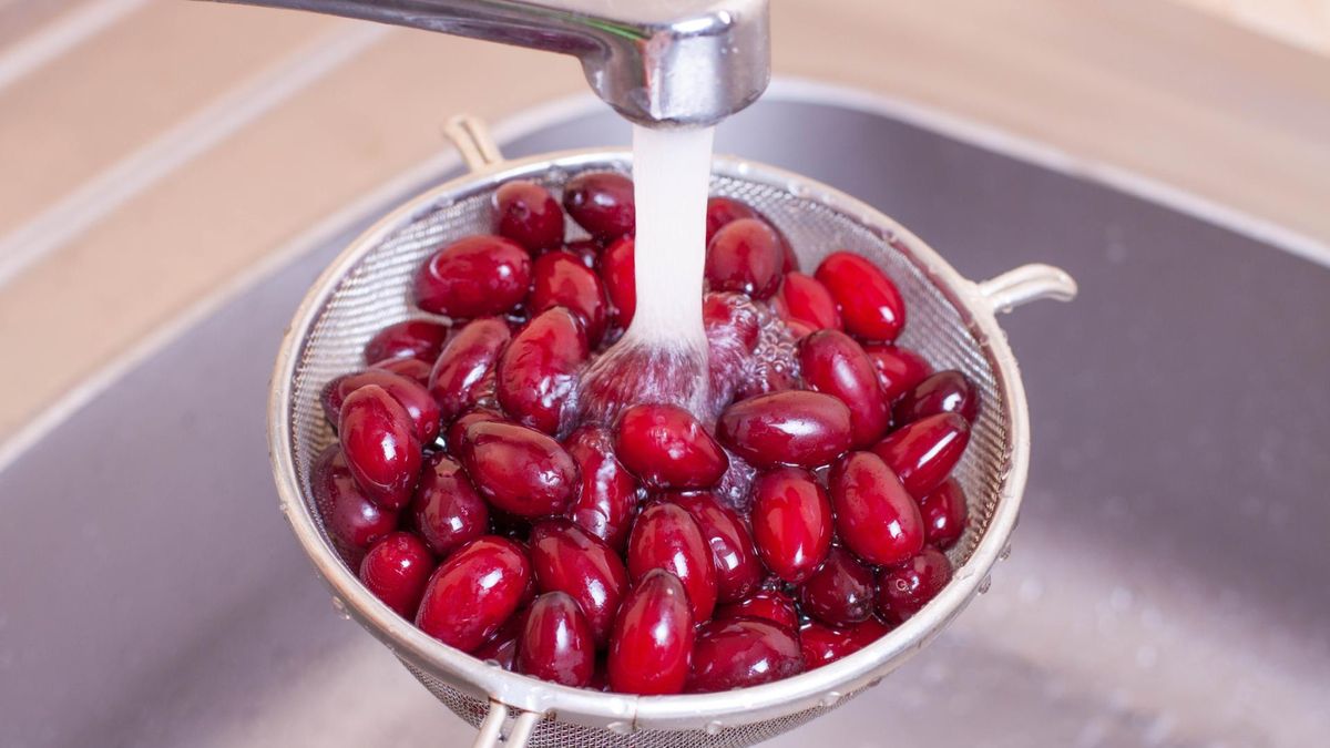 Dereń – kwaśny owoc o szerokim działaniu