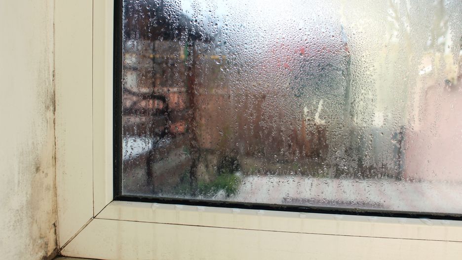 Zauważyłeś parę na oknie? Sprawdź to!