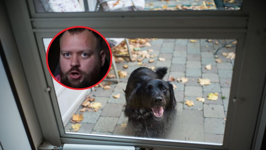 Pies dla dziecka. Behawiorysta wymienia trzy najgorsze rasy