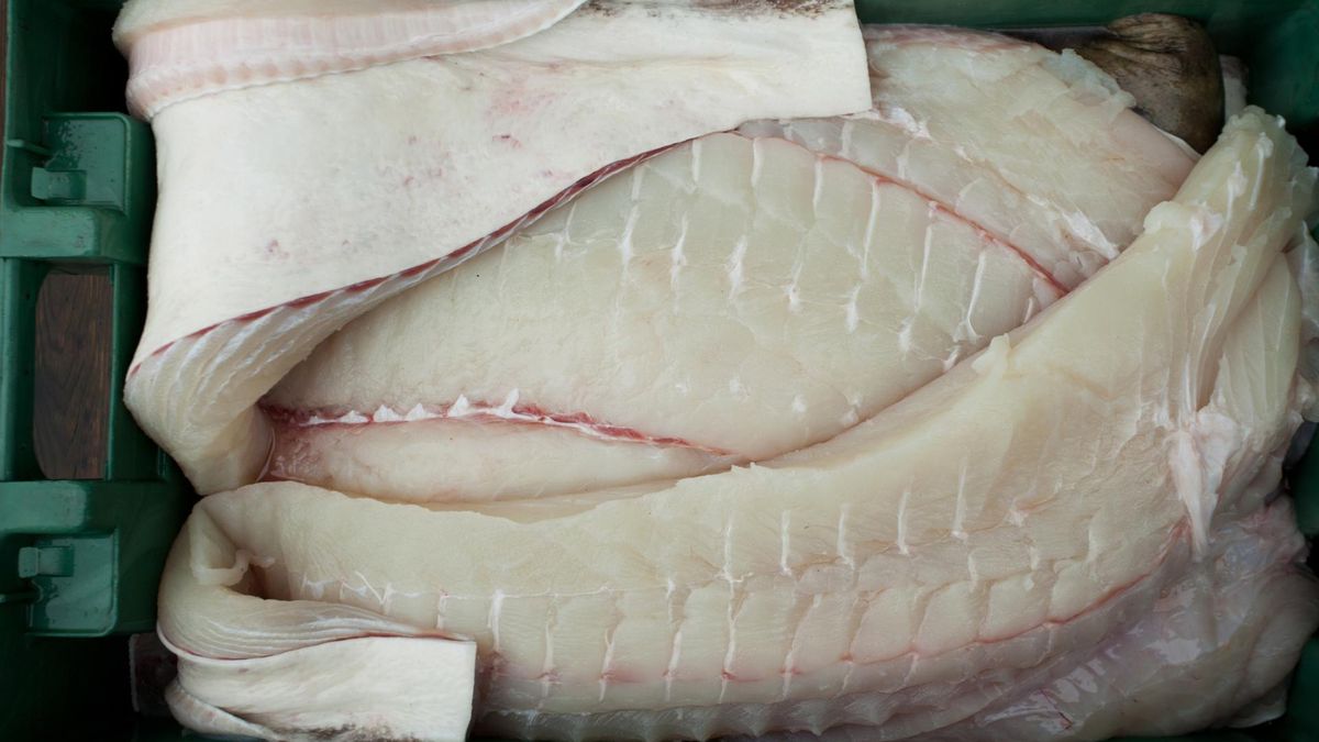 Halibut chroni przed rakiem okrężnicy i miażdżycą