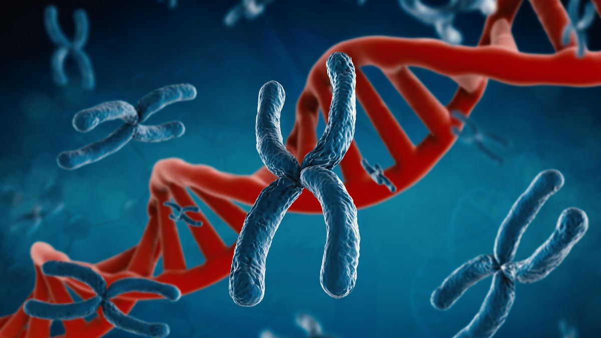 Disomia jednorodzicielska może prowadzić do zaburzeń genetycznych