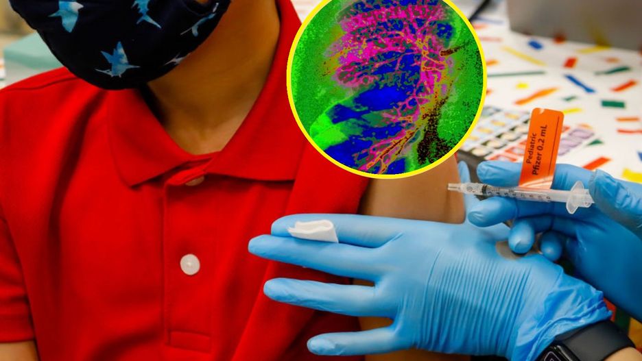 Coraz więcej chorych w wakacyjnej destynacji Polaków. Dwoje niemowląt zmarło