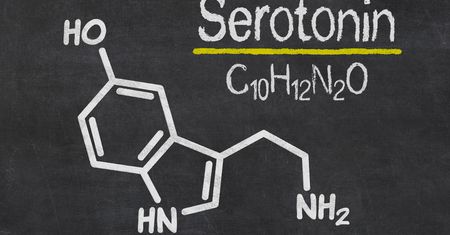 Serotonina - właściwości i wpływ na organizm. Niedobór i nadmiar serotoniny
