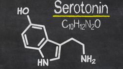 Serotonina - właściwości i wpływ na organizm. Niedobór i nadmiar serotoniny