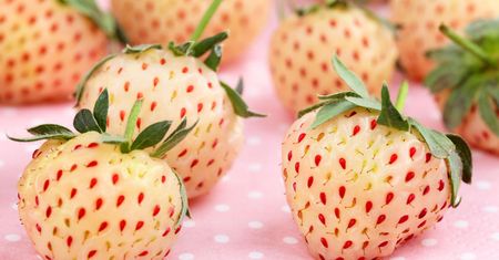 Pineberry, czyli połączenie truskawki i ananasa!