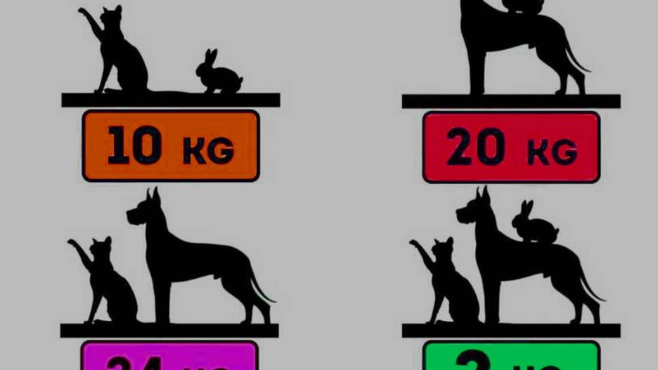 Tylko 2 proc. potrafi rozwiązać tę zagadkę matematyczną w 6 sekund