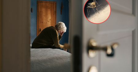 Denga i chikungunya coraz częstsze. Tak można się ochronić