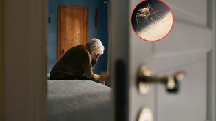 Denga i chikungunya coraz częstsze. Tak można się ochronić