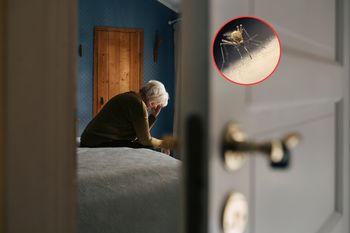 Denga i chikungunya coraz częstsze. Tak można się ochronić