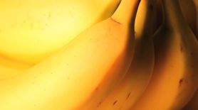 Dlaczego warto jeść banana każdego dnia? (WIDEO)