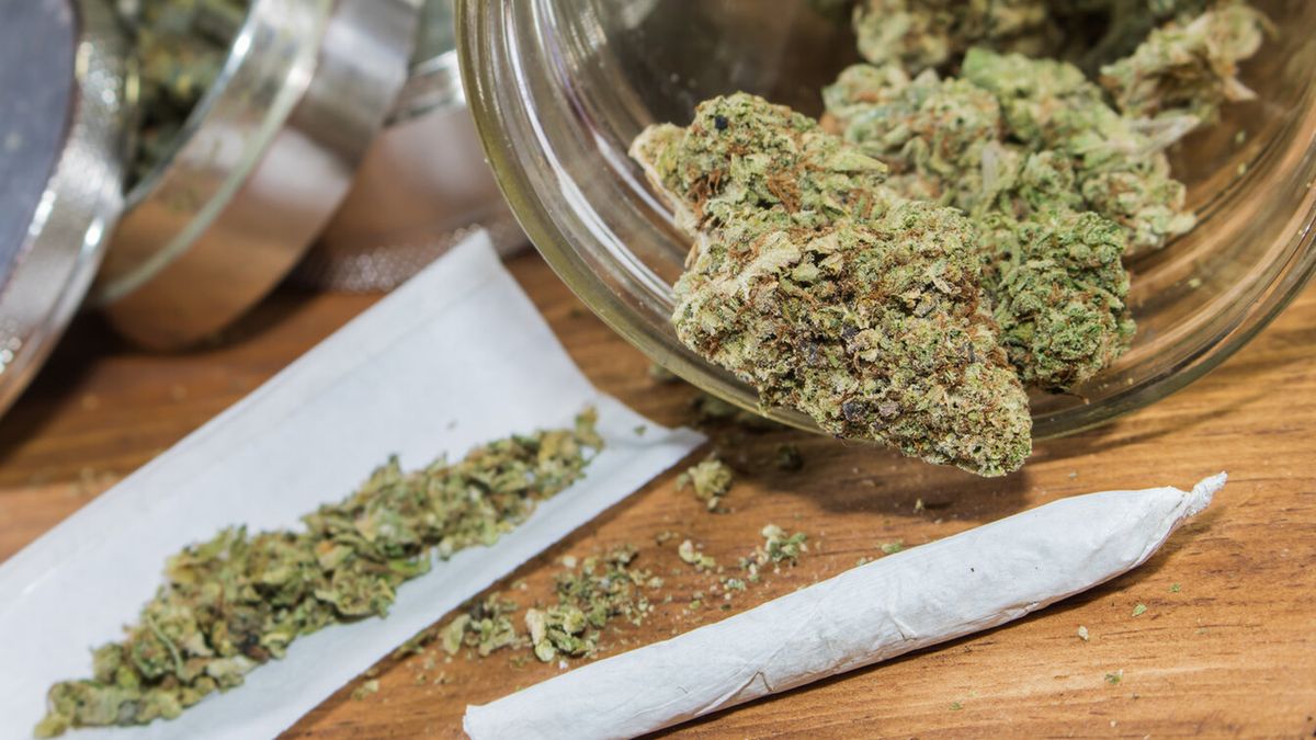 Eksperci o wpływie marihuany na rozwijający się mózg