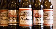 Czeski browar kontra piwny Goliat. Wojna o jedną markę trwa ponad 100 lat