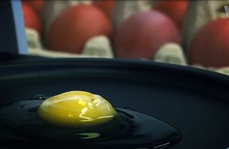 Test WP: Jajka. Lepsze "trójki" czy prosto ze wsi? Sprawdzamy