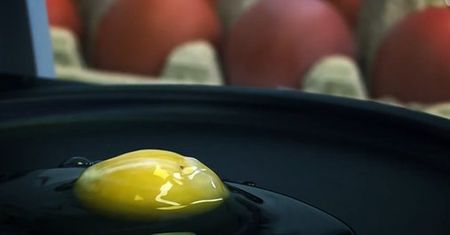 Test WP: Jajka. Lepsze "trójki" czy prosto ze wsi? Sprawdzamy