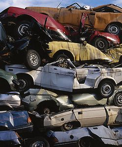 Pierwsza w Europie chińska fabryka aut stanie w Polsce?