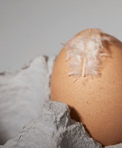 Ukradł siedem tysięcy jaj - grozi mu pięć lat