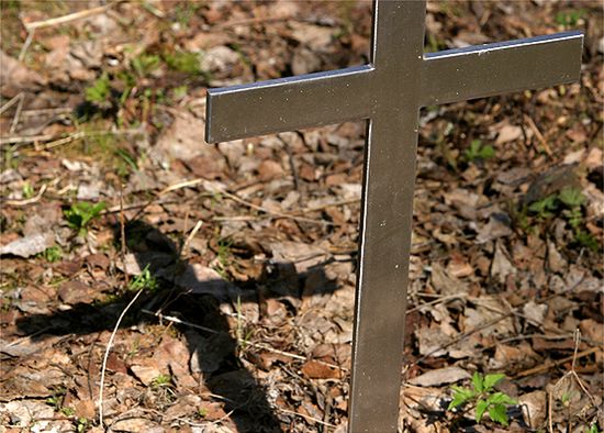 Grzebią bez trumien w lesie zamiast na cmentarzu