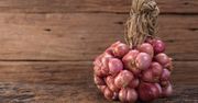 Połączenie czosnku i cebuli. Poznaj szalotkę