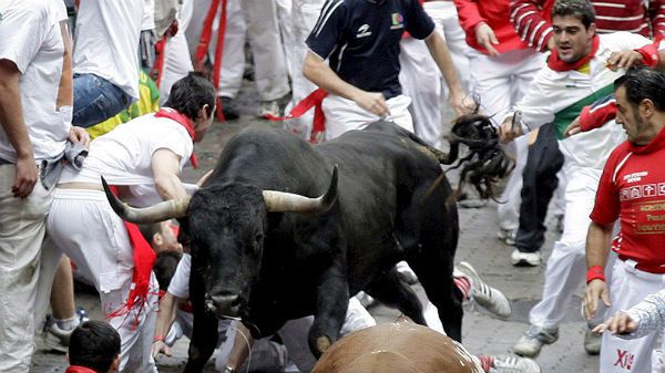 Byki biegną wśród uczestników gonitwy wąskimi uliczkami Pampeluny w ramach fiesty patrona miasta, św. Fermina