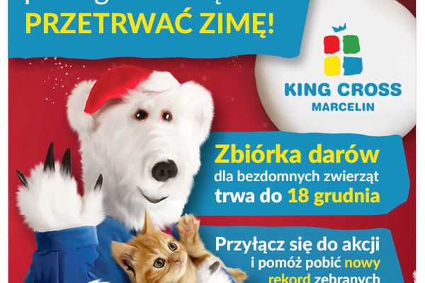 „Miś Marcelin pomaga zwierzętom przetrwać zimę!” – czyli kolejna edycja zbiórki dla bezdomnych zwierzaków w King Cross Marcelin.