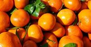 10 przykazań przy robieniu nalewki