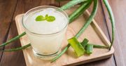 Aloes i jego niezwykłe właściwości