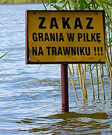 Zamów kaczkę, a dziecko będzie gratis - zdjęcia Internautów