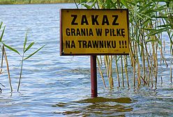 Zamów kaczkę, a dziecko będzie gratis - zdjęcia Internautów