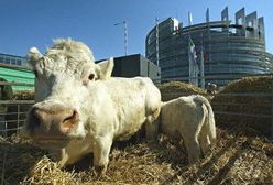 Jest reforma, będą zmiany