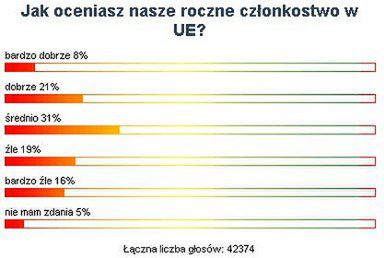 Internauci niezadowoleni z UE?