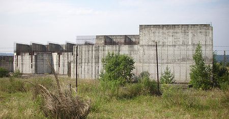 Internauci nie wierzą rządowi: robią sobie z nas jaja