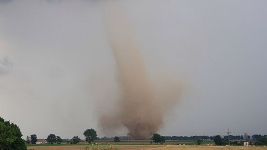 Patrycja Kluczyńska