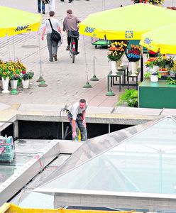 Stoi sucha jak piramida na pustyni w Egipcie