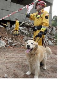 Pies Bohater poszukiwany - weź udział w konkursie