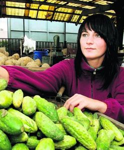 Bazar na jeden dzień - nowa propozycja dla stolicy