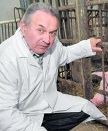 Świńskie tkanki w przeszczepach skóry u człowieka