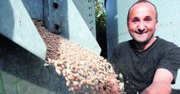 Kiepskie ceny zbóż dobijają dolnośląskich rolników