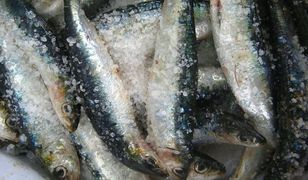 Lublin: znaleziono przeterminowane ryby. Miały trafić do sklepów