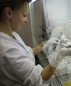 Lubelski sanepid zaprasza na bezpłatne badania wykrywające wirusa żółtaczki typu C