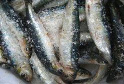 Lublin: znaleziono przeterminowane ryby. Miały trafić do sklepów
