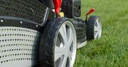 Ogrodowy szał, czyli jak wybrać kosiarkę?