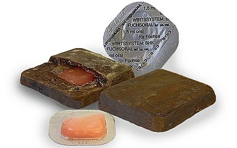 W przypadku kontaktu ze szczepionką należy udać się do lekarza