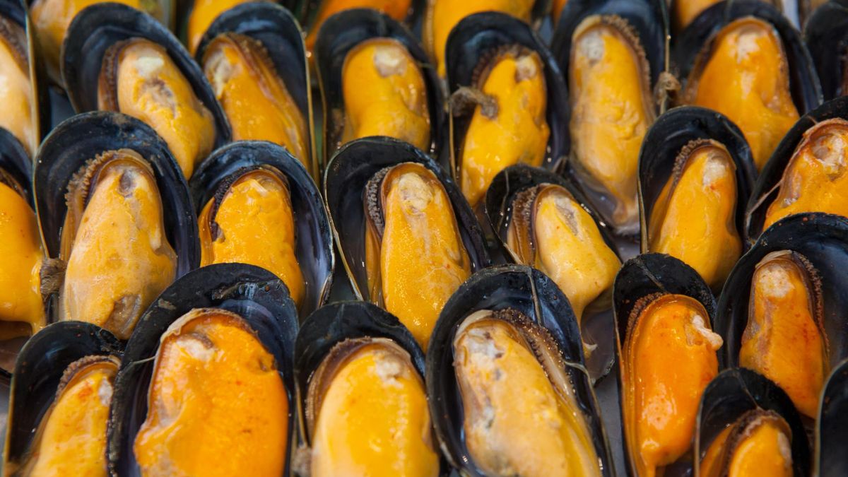 Mule to lekkostrawne owoce morza i bogate źródło składników odżywczych