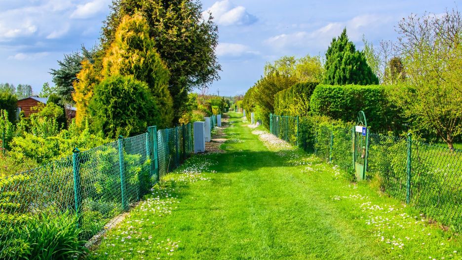 Zakazane na działce. Można dostać nawet 5 tys. zł kary
