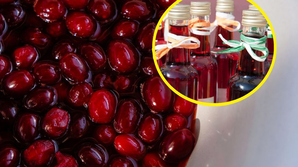 Dereniówka to nalewka przyrządzana z owoców derenia jadalnego.