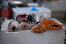 Koronawirus w Chinach. Norweskie łososie nie były źródłem zakażeń na targu w Pekinie