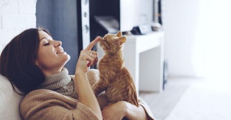 Odrobaczanie kota – kiedy i jak je przeprowadzić?