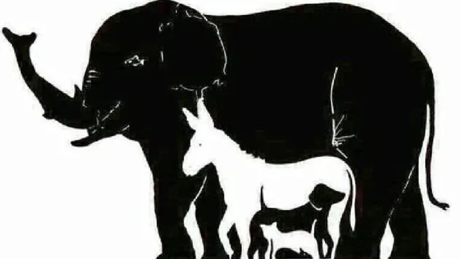 Obrazkowa łamigłówa sprawia mnóstwo problemów. Ile zwierząt uda ci się znaleźć?