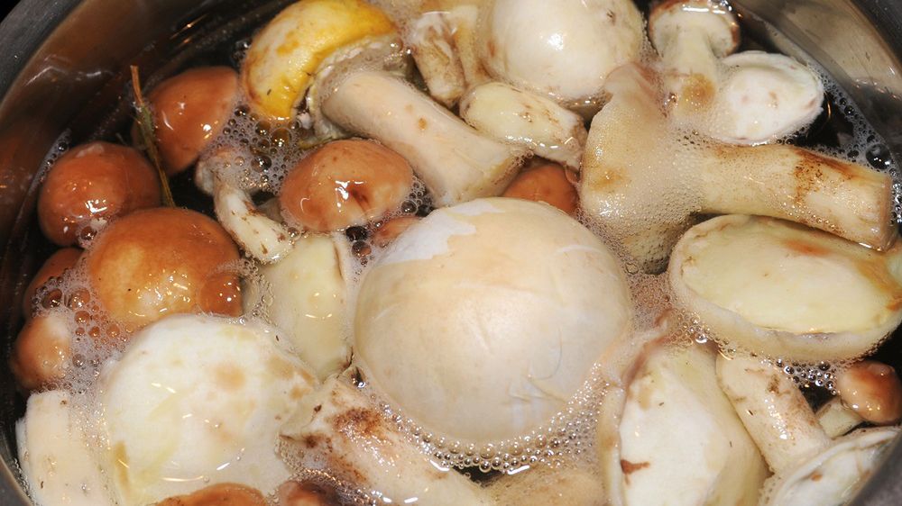 Jak gotować grzyby, by były smaczne i zachowały wartości odżywcze?
