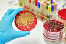 Bakteria coli u noworodka